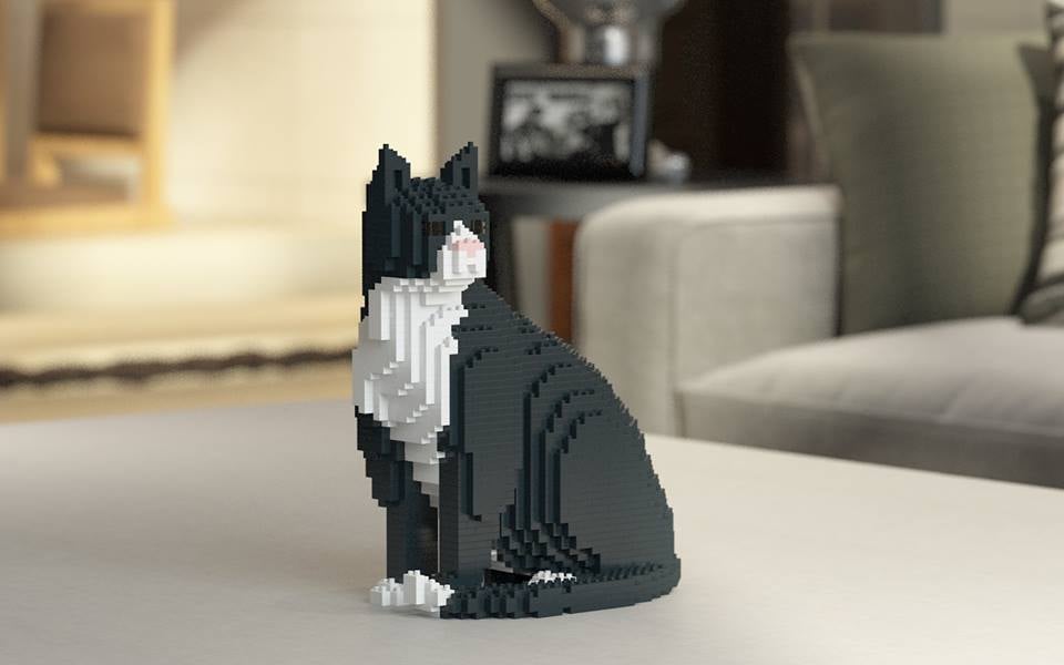 Blocks That Let You Build a Cat