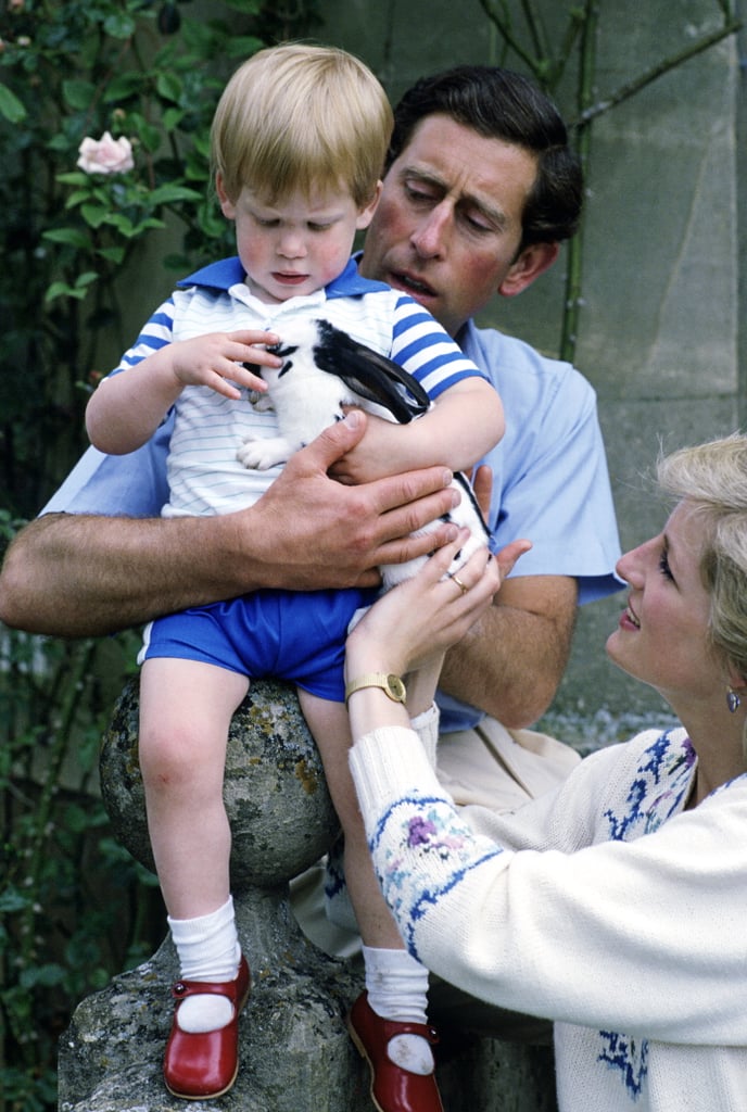 Prince Harry, 1986