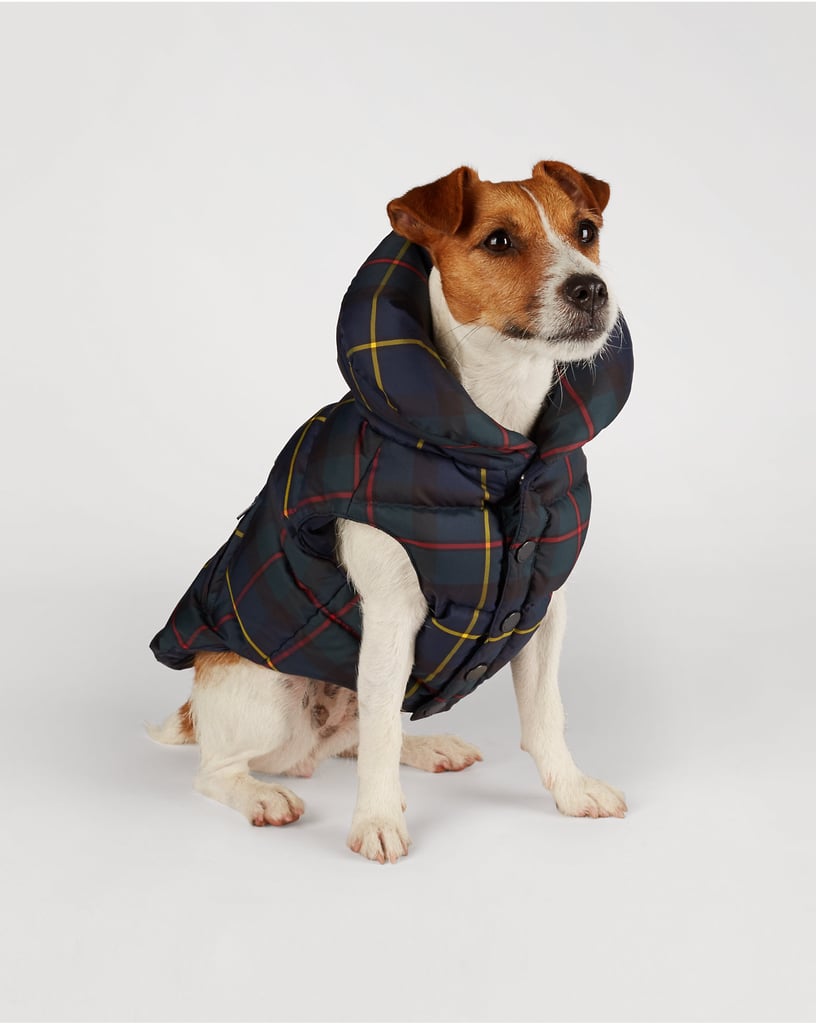 Far more sophisticated than some silly dog sweater, this Ralph Lauren Tartan dog vest ($95) – with its classic print and shawl collar – makes one thing clear: this pup came to play.