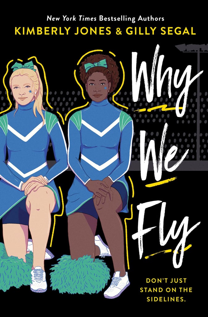 Why We Fly by Kimberly Jones and Gilly Segal