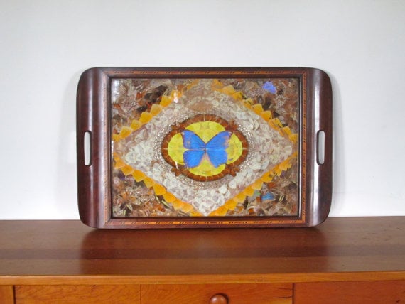 butterfly wing tray