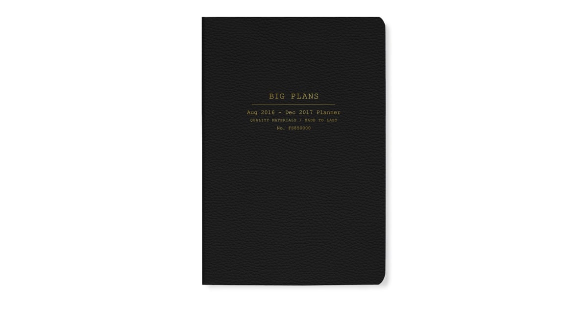 Fringe Studio "Big Plans" 17Month Agenda (28) 2017 Planners and