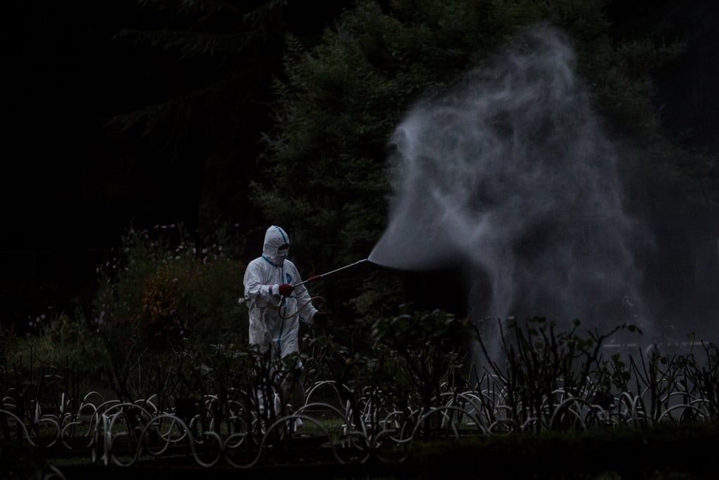 A worker sprayed pesticide at a park in Japan as the country deals with the first dengue fever outbreak in nearly 70 years.