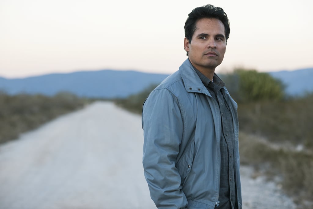 Who Does Michael Peña Play in Narcos Season 4?