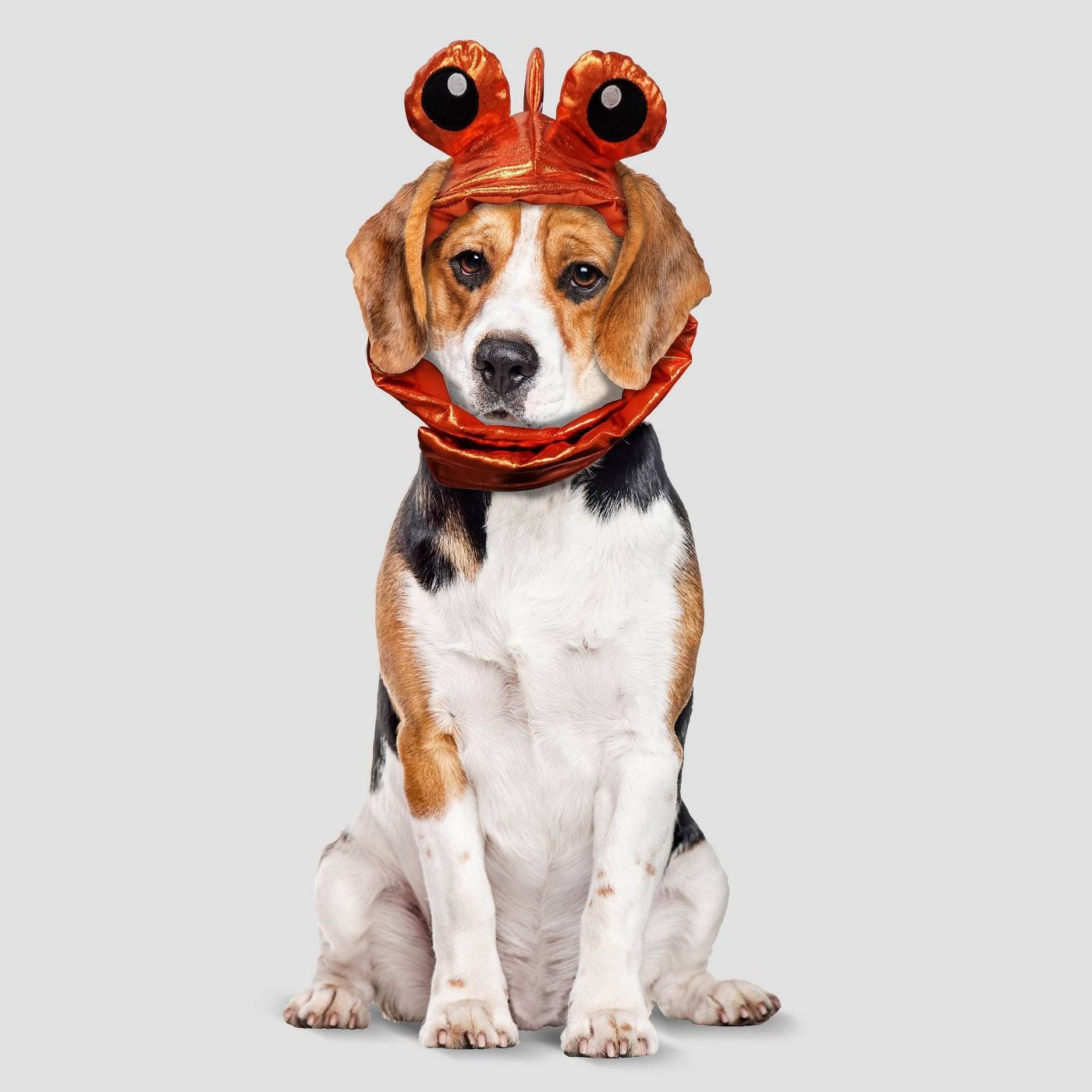 Goldfish Halloween Dog Costume | 20 Halloween Costumes That Will Actually  Fit Your Large Breed Dog | POPSUGAR Pets Photo 9