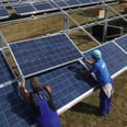 Conservative Think Tank Inadvertently Plugs Solar Energy When It Meant to Praise Coal