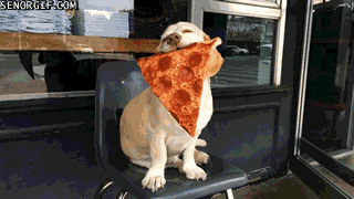 Pizza makes you look cute.