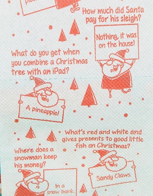 Fizz Holidays Toilet Roll