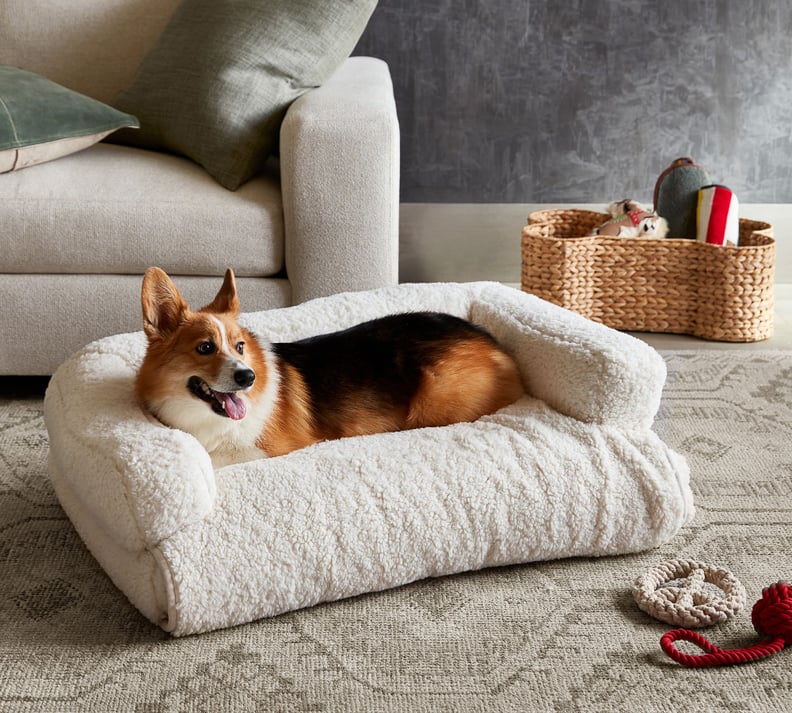 Best Pet Bed From Pottery Barn