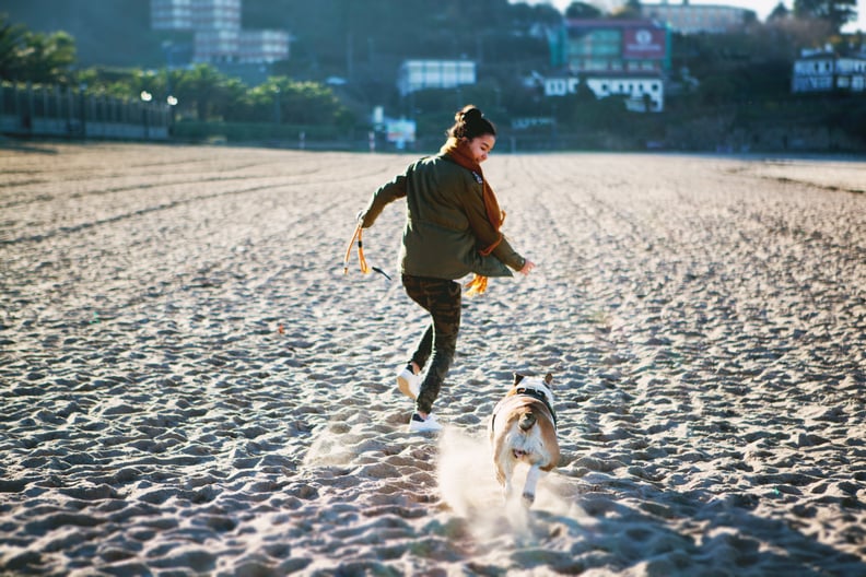 Feed your pet the right foods and keep it in shape to reduce vet bills