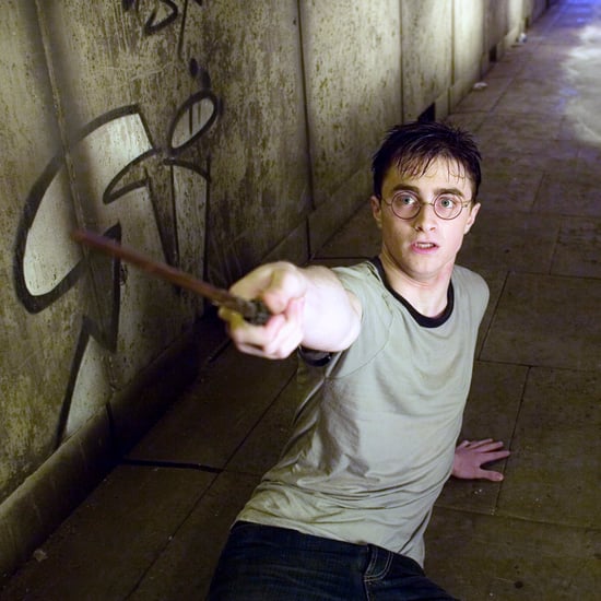 Harry Potter and Voldemort Phoenix Theory