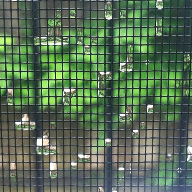 Raindrops