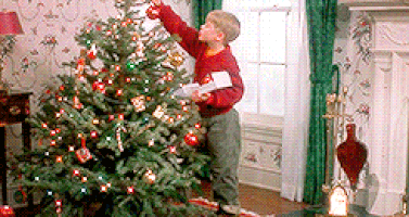 Decorating the House and Putting Up the Tree
