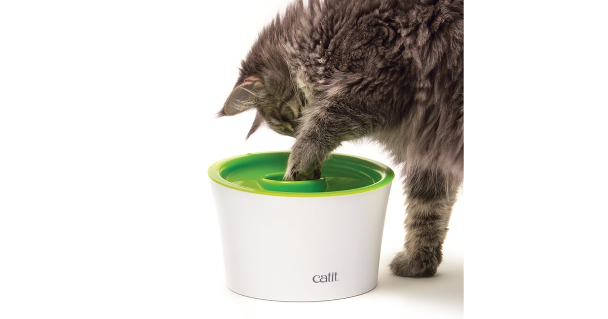Catit Multi Feeder Best Cat Products on Amazon POPSUGAR Smart