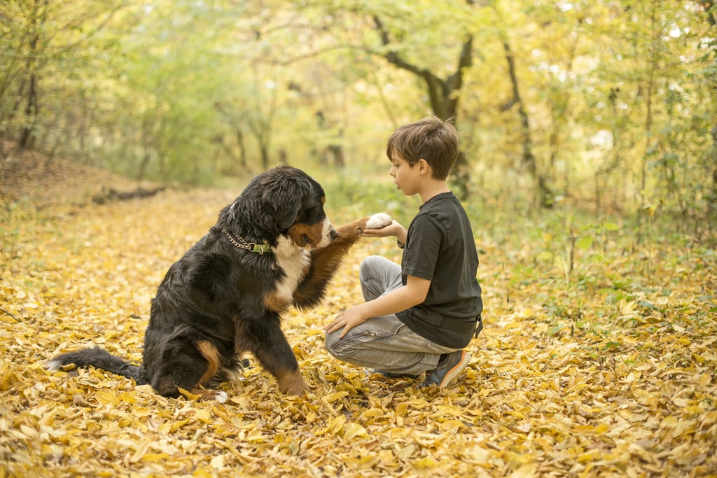 Cute Photos of Kids and Dogs