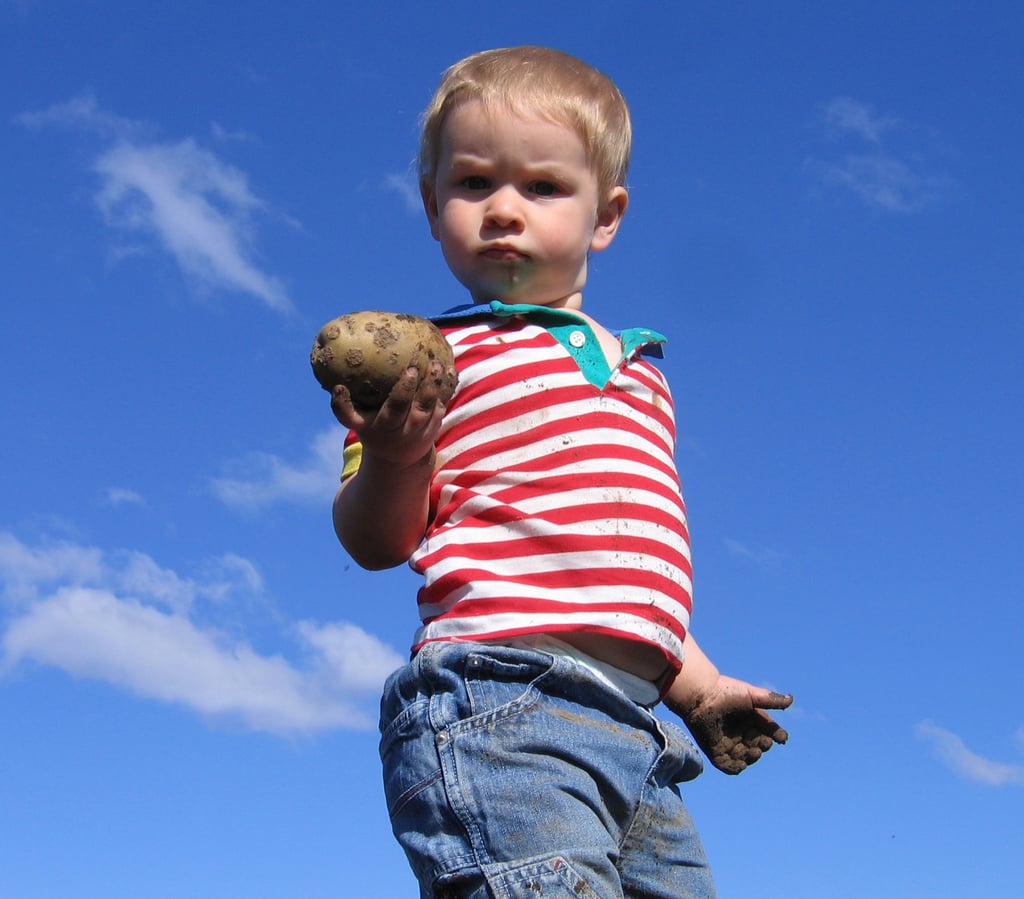 Dad Makes Toddler Hold Potato to Stop Tantrum | POPSUGAR Family