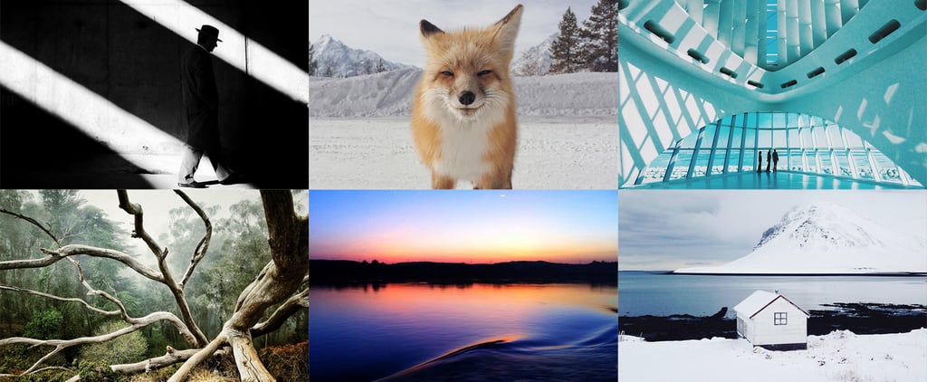 iPhone Photography Winners 2014