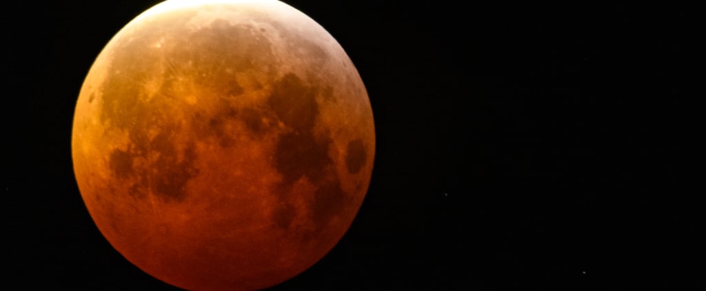 What Is a Wolf Moon? An Astrologer Explains Its Meaning