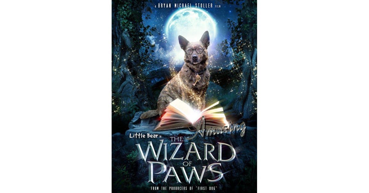wizard of paws