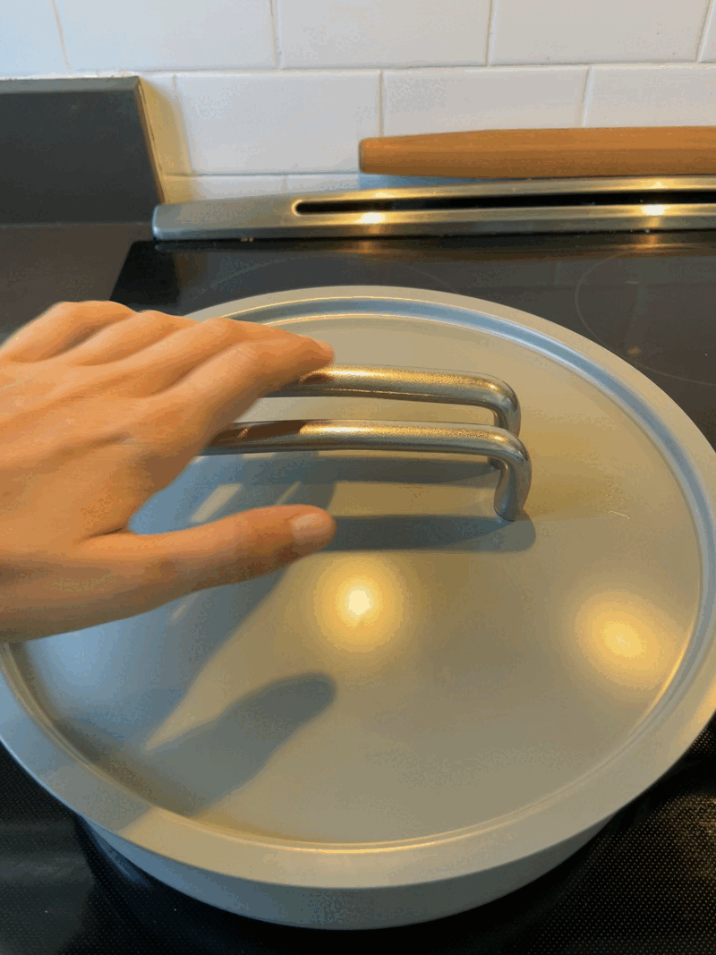 Risa Eva Longoria Non-Stick Cookware Line Review - 2022