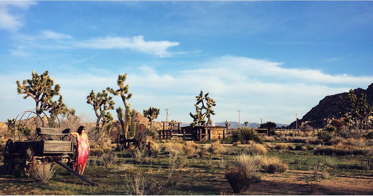 Coachella Valley 10 Things To Do in the Coachella Valley During the