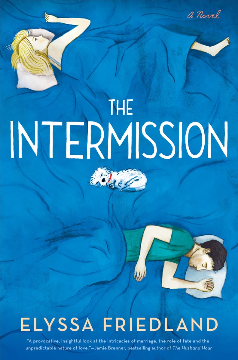 The Intermission by Elyssa Friedland, Out July 3