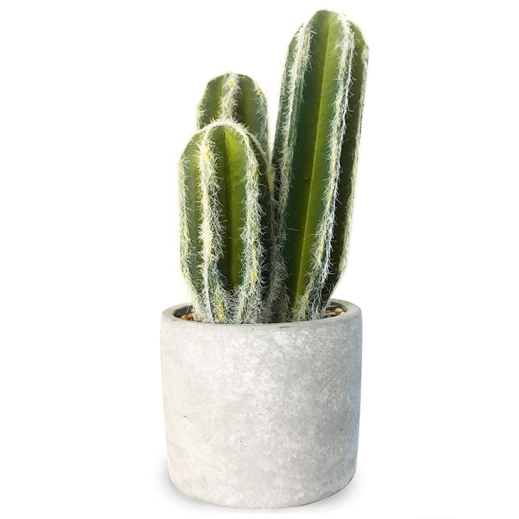 Oxxy Artificial Fake Cactus Best Fake Plants That Look Real