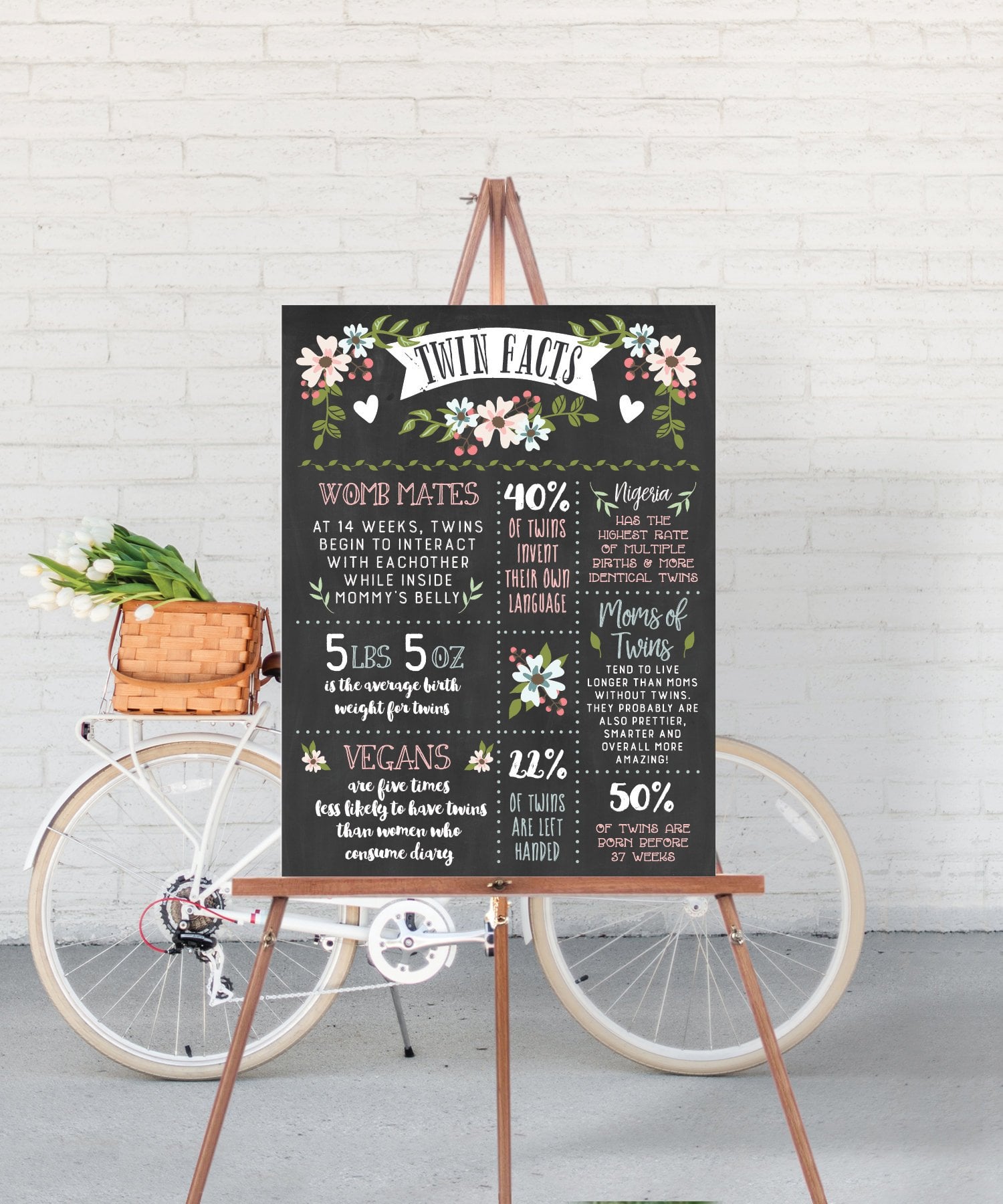 Twin Facts Chalkboard Double The Fun 14 Ideas For A Twin Baby