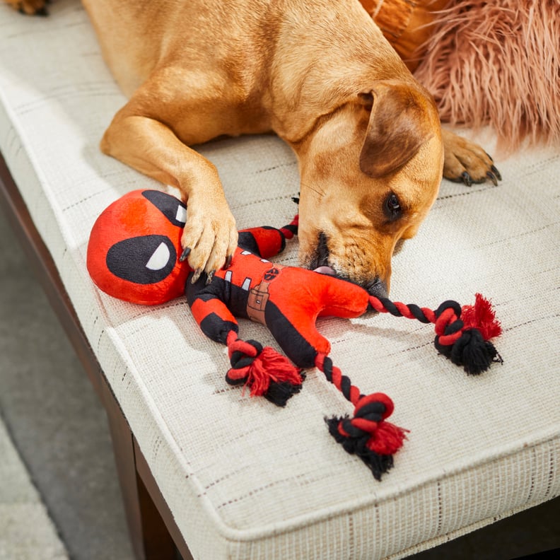 Marvel 's Deadpool Plush with Rope Squeaky Dog Toy
