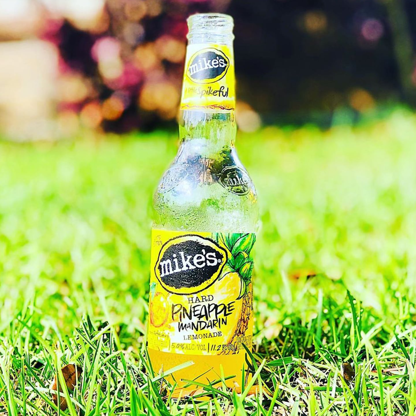 Mike S Hard Pineapple Mandarin Lemonade Is Back For Summer Popsugar Food The classic hard lemonade is infused with pineapple and mandarin, and has 5 percent. mike s hard pineapple mandarin lemonade