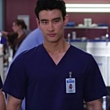 New Characters on Grey's Anatomy Season 15 | POPSUGAR ...