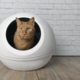 21 Self-Cleaning Cat Litter Boxes, From Semi-Automatic to Touch-Free