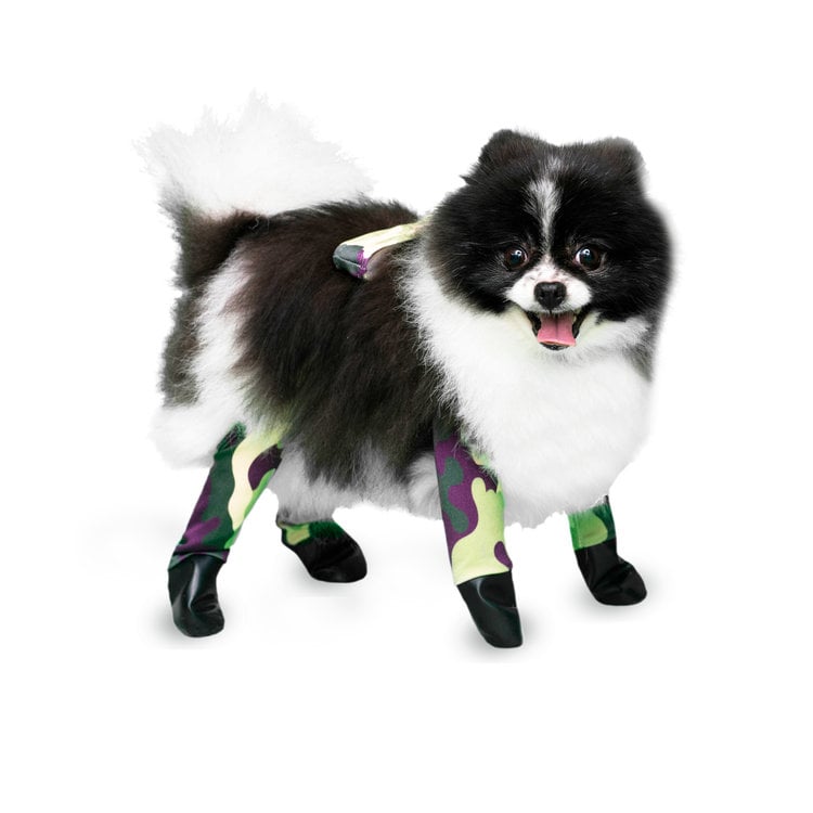 Leggings For Dogs