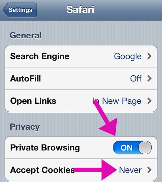 Enable Private Browsing on iDevices