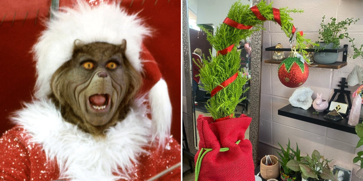 Trader Joe's Grinch Cypress Christmas Trees POPSUGAR Home