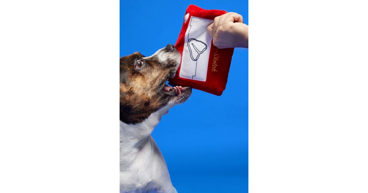 Bark Fetch A Sketch Dog Toy I Want Every Single One Of