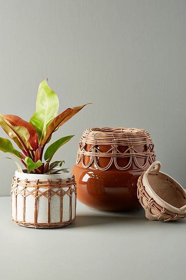 Pacifico Pots