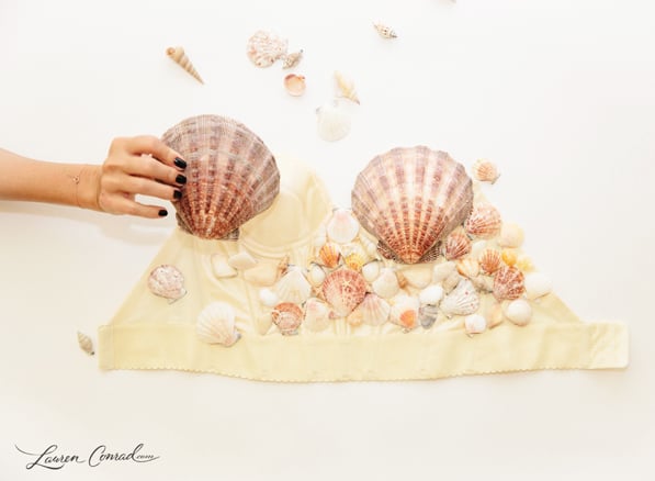 For the Seashell Bra