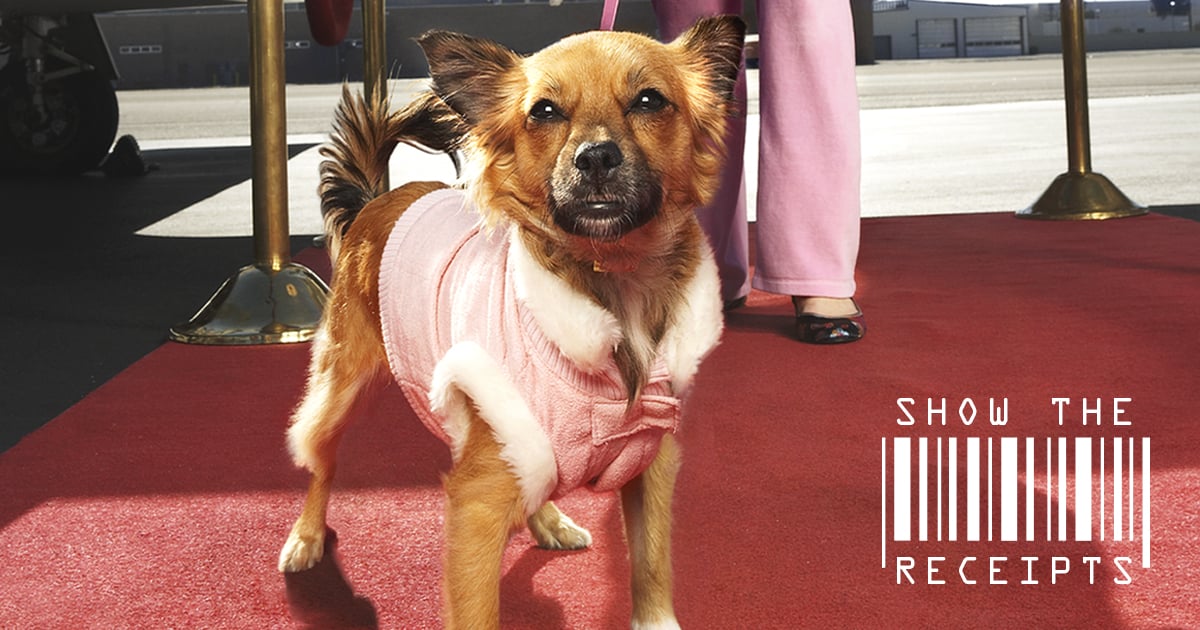 The $1,100 Monthly Cost of Being a (Celebrity) Pet Owner