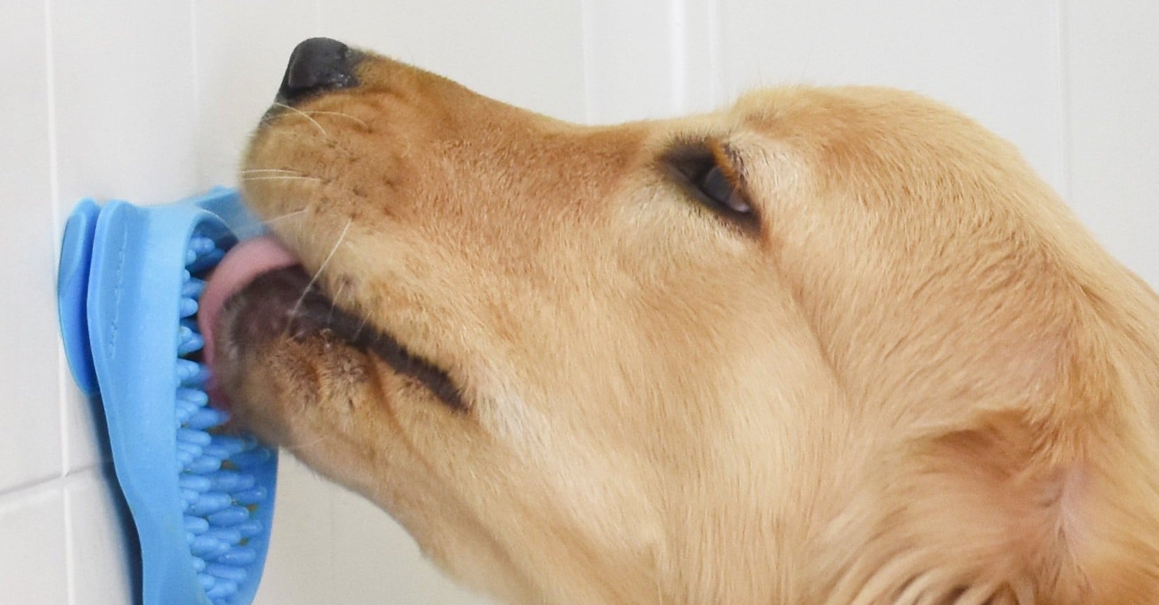 Peanut butter dog shower online