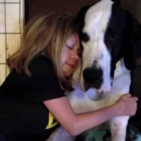 Little Girl and Her Great Dane Service Dog