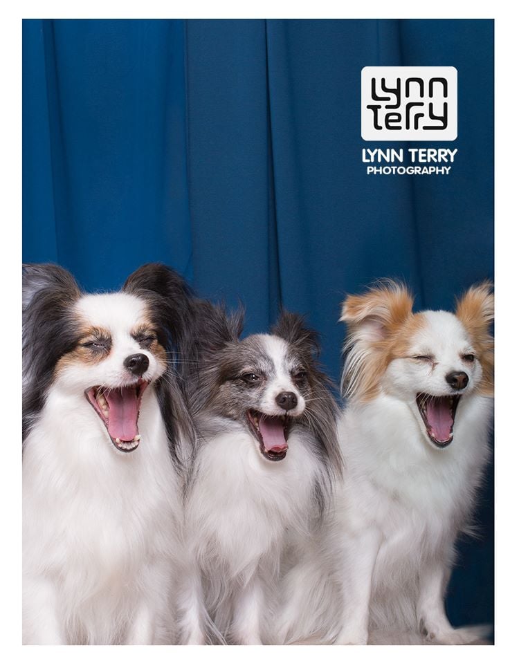 When group photos look so weird that they're so good.