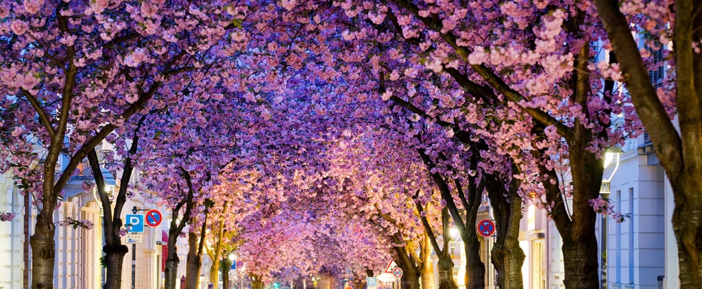 First Pictures of Spring 2014