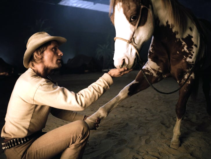 The animal-loving type | Hot Photos of Viggo Mortensen | POPSUGAR