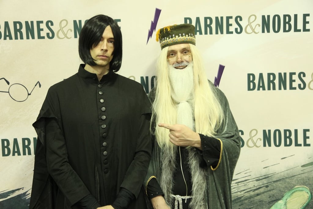 Snape and Dumbledore