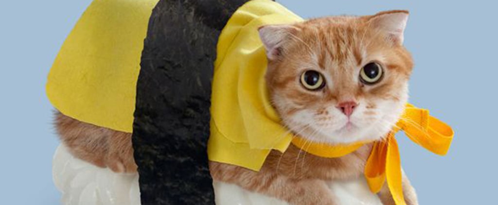 Cats in Halloween Costumes