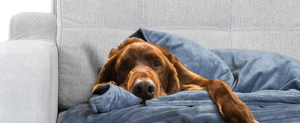 Best Weighted Blanket For Pets