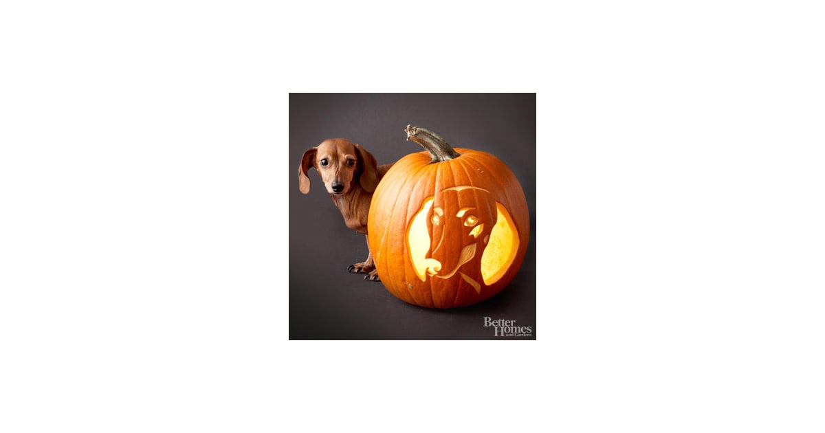 dachshund-downloadable-dog-breed-pumpkin-stencils-popsugar-pets