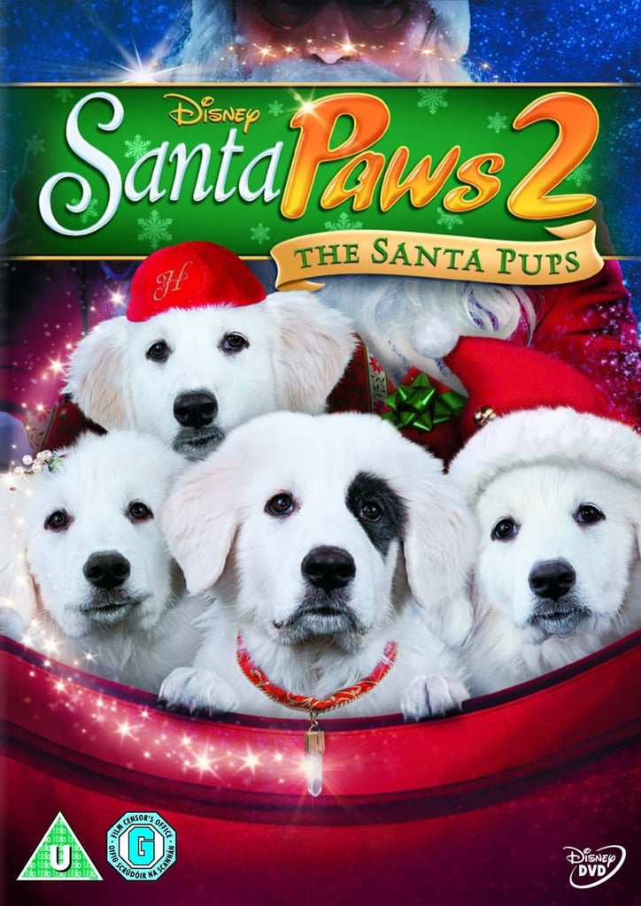 santa paws teddy