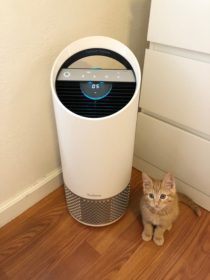 TruSens Air Purifier Review